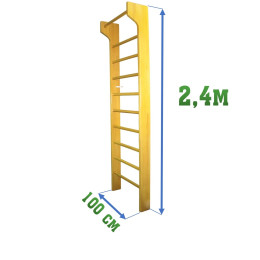 Стенка 2,4х1м с выносом (гимнастическая, шведская)